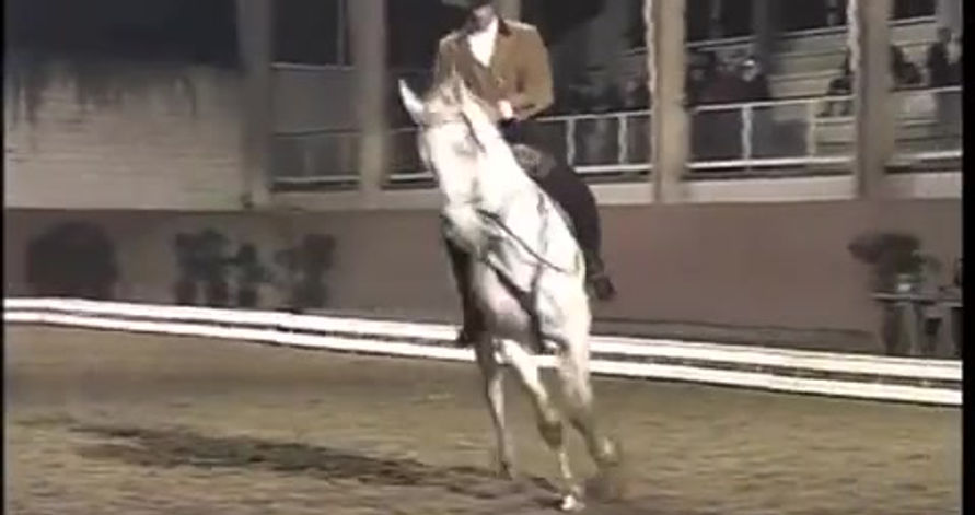 Dressage Trial